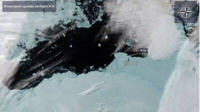 Учёные рассказали, что произойдет с отколовшимся от Антарктиды айсбергом - obzor.lt - Лондон - Антарктида