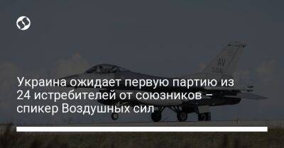 El Pais - Юрий Игнат - Украина ожидает первую партию из 24 истребителей от союзников – спикер Воздушных сил - liga.net - Украина - Киев
