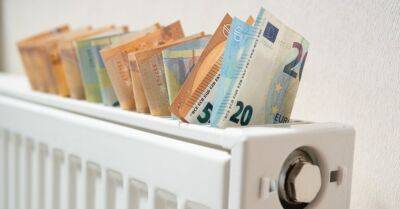 Жителям Елгавы выплатили менее 400 тысяч евро компенсаций за отопление - rus.delfi.lv - Латвия