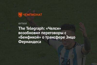 The Telegraph: «Челси» возобновил переговоры с «Бенфикой» о трансфере Энцо Фернандеса - championat.com - Аргентина