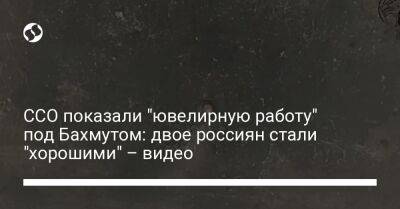 Андрей Цаплиенко - ССО показали "ювелирную работу" под Бахмутом: двое россиян стали "хорошими" – видео - liga.net - Россия - Украина