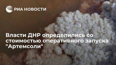 Денис Пушилин - Пушилин: власти ДНР понимают, сколько денег нужно для оперативного запуска "Артемсоли" - smartmoney.one - Россия - Украина - ДНР - ЛНР - Артемовск