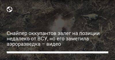 Снайпер оккупантов залег на позиции недалеко от ВСУ, но его заметила аэроразведка – видео - liga.net - США - Украина - Донецкая обл.