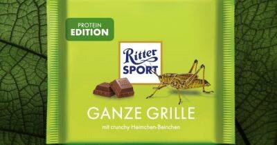 Ritter Sport анонсировали новую шоколадку со вкусом хрустящих ножек сверчка - focus.ua - Украина - Германия