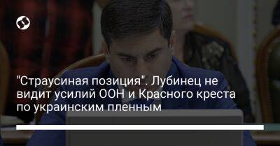 Дмитрий Лубинец - "Страусиная позиция". Лубинец не видит усилий ООН и Красного креста по украинским пленным - liga.net - Россия - США - Украина