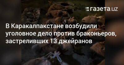 В Каракалпакстане возбудили уголовное дело против браконьеров, застреливших 13 джейранов - gazeta.uz - Узбекистан