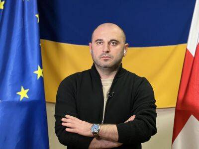 Михаил Саакашвили - В Грузии избрали нового лидера оппозиции. Он пообещал начать с шагов по освобождению Саакашвили - gordonua.com - Россия - Украина - Грузия