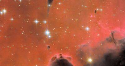 Душа нараспашку. Телескоп Хаббл получил потрясающее изображение красной туманности (фото) - focus.ua - Украина