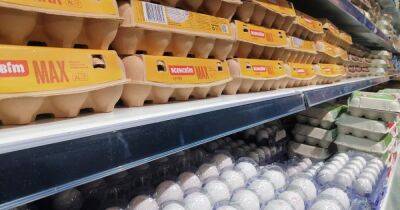 В Украине будут по новому продавать яйца: как изменятся требования к товару - focus.ua - Россия - Украина