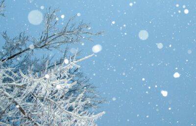 Прогноз погоды в Твери: последний день января будет теплым и хмурым - afanasy.biz - Россия - Тверь - Тверская обл.