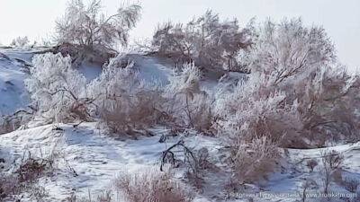 После трех недель аномального холода в Туркменистане местами потеплеет до +17 градусов - hronikatm.com - Туркмения - Ашхабад