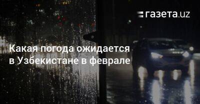 Какая погода ожидается в Узбекистане в феврале - gazeta.uz - Узбекистан - Ташкент - Джизакская обл.