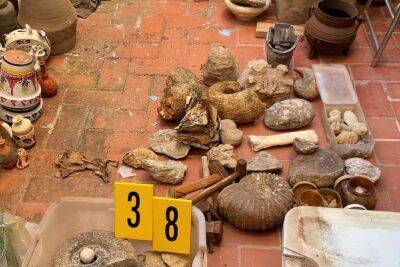Іспанська поліція вилучила сотні археологічних артефактів - lenta.ua - Украина - Чехія - Іспанія