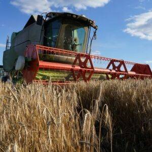 Як швидко аграрний сектор України відновиться після війни: прогноз - reporter-ua.com - Україна