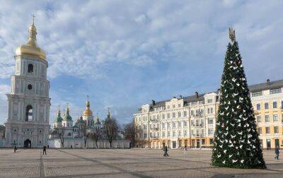 В Києві почали утилізувати новорічні ялинки: адреси пунктів прийому - rbc.ua - Украина - Україна - місто Київ