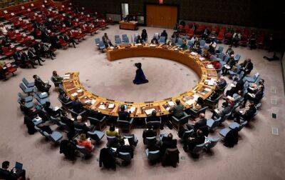 Швейцарія вперше потрапила до Ради безпеки ООН - rbc.ua - Мальта - Україна - Росія - Японія - Швейцарія