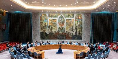 Швейцарія вперше стала непостійним членом Ради Безпеки ООН - bin.ua - Китай - США - Украина - Мальта - Росія - Франція - Емірати - Японія - Швейцарія