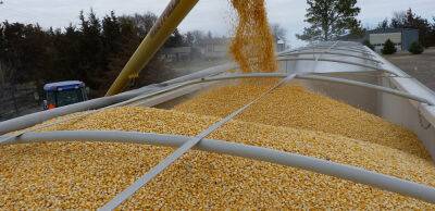 За 11 місяців 2022 року Україна експортувала зерна на $8,1 млрд - thepage.ua - Україна - Росія