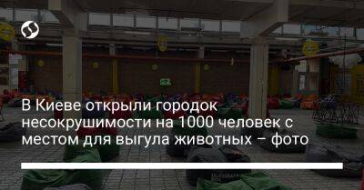 Кирилл Тимошенко - В Киеве открыли городок несокрушимости на 1000 человек с местом для выгула животных – фото - liga.net - Украина - Киев