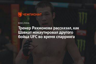 Шавкат Рахмонов - Ли Джинлианг - Тренер Рахмонова рассказал, как Шавкат нокаутировал другого бойца UFC во время спарринга - championat.com - Казахстан
