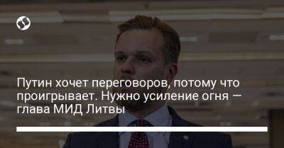 Владимир Путин - Габриэлюс Ландсбергис - Путин хочет переговоров, потому что проигрывает. Нужно усиление огня — глава МИД Литвы - liga.net - Россия - Украина - Литва