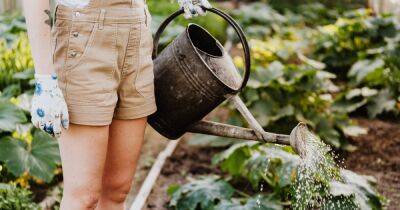Ученые рассказали, почему садоводство позитивно влияет на здоровье - focus.ua - Украина - state Colorado