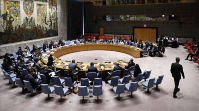 Рада безпеки ООН збирає засідання щодо ситуації в Україні - що відомо - lenta.ua - Україна - Росія - Японія
