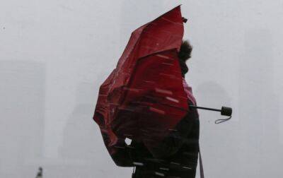 Українців попередили про сильні пориви вітру завтра: де очікувати негоди - rbc.ua - Україна