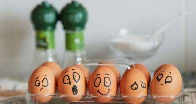 Яйца с птицефабрики «Ясенсвит» теперь будут продаваться варенными и очищенными. В трехлитровых вёдрах - cxid.info - Украина