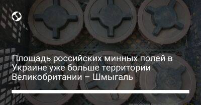 Денис Шмыгаль - Площадь российских минных полей в Украине уже больше территории Великобритании – Шмыгаль - liga.net - Россия - Украина - Англия - Румыния