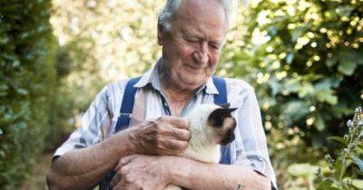 Кошки и собаки могут защитить человека от развития деменции: что выяснили ученые - focus.ua - США - Украина - шт. Мичиган