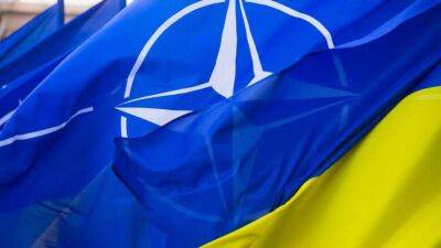 У НАТО не виключають постачання танків Україні - lenta.ua - Україна - Німеччина