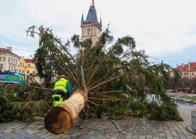В Праге демонтировали главную рождественскую елку - vinegret.cz - Чехия - Прага