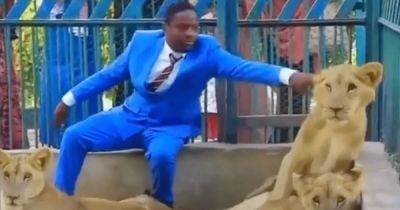 В клетке со львами: пастор, который хотел показать "божественную защиту", оказался лжецом - focus.ua - Украина - Нигерия - Сомали