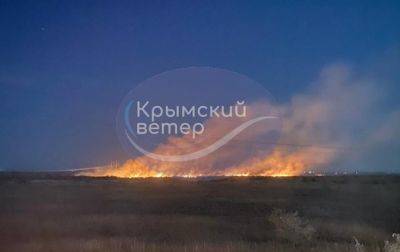 В Крыму произошел пожар возле полигона - korrespondent.net - Украина - Крым
