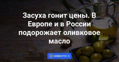 Засуха гонит цены. В Европе и в России подорожает оливковое масло - smartmoney.one - Россия - Испания - Греция