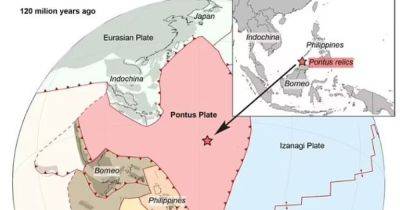 160 млн лет в забытье. Найдена тектоническая плита, некогда занимавшая четверть Тихого океана (фото) - focus.ua - Украина - Голландия - Филиппины