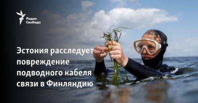 Эстония расследует повреждение подводного кабеля связи в Финляндию - svoboda.org - Норвегия - Эстония - Финляндия - Брюссель - Хельсинки