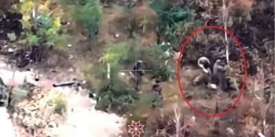 Командиры оккупантов развлекаются избиением своих солдат палками, как крепостных — видео - nv.ua - Россия - Украина