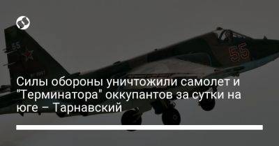 Александр Тарнавский - Силы обороны уничтожили самолет и "Терминатора" оккупантов за сутки на юге – Тарнавский - liga.net - Россия - Украина - Запорожская обл.