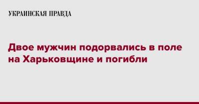 Олег Синегубов - Двое мужчин подорвались в поле на Харьковщине и погибли - pravda.com.ua - Харьковская обл.