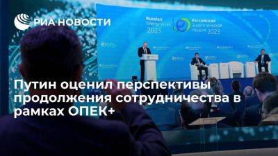 Владимир Путин - Путин: скорее всего, сотрудничество в рамках ОПЕК+ продолжится - smartmoney.one - Россия - Саудовская Аравия