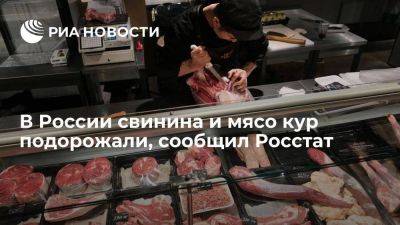 Росстат: В РФ свинина и мясо кур подорожали, плодоовощная продукция подешевела - smartmoney.one - Россия