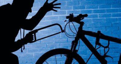 Полиция в Варшаве поймала украинца за кражу 50 велосипедов - cxid.info - Украина - Польша - Варшава
