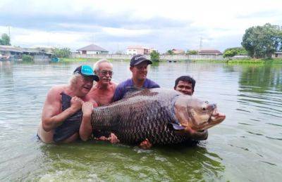 В Таиланде рыбак поймал карпа весом 114 кг - фото и видео - apostrophe.ua - Украина - Таиланд