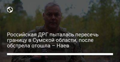 Сергей Наев - Российская ДРГ пыталась пересечь границу в Сумской области, после обстрела отошла – Наев - liga.net - Украина - Сумская обл.