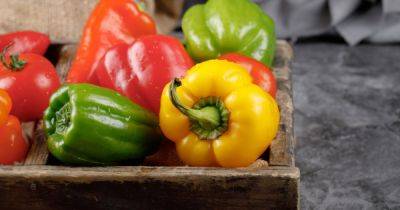 Диетологи назвали овощ, в котором больше витамина С, чем в цитрусовых - focus.ua - Украина