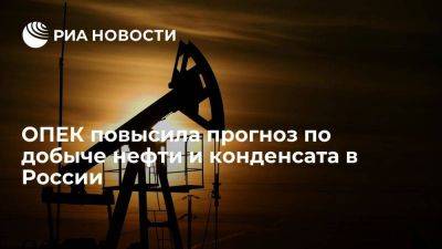 Александр Новак - ОПЕК повысила прогноз по добыче жидких углеводородов в России на 80 тысяч б/с - smartmoney.one - Россия - Саудовская Аравия