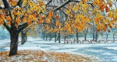 Наталья Голеня - Синоптики пообещали снег и начало отопительного сезона уже на следующей неделе - cxid.info - Украина - Киев