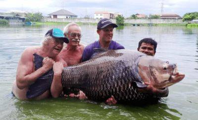 В Таиланде мужчина поймал гигантского карпа — фото - planetanovosti.com - Англия - Таиланд